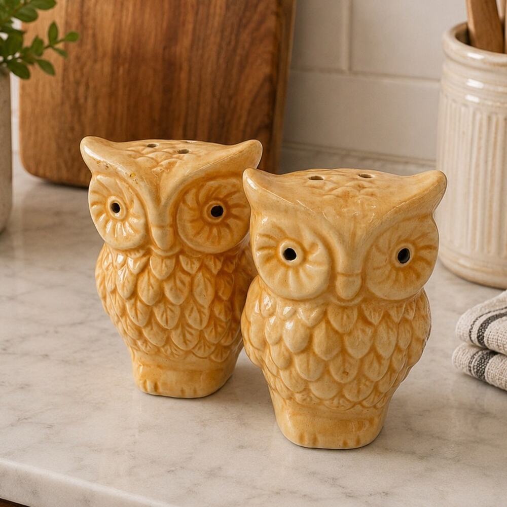 1970's Ceramic Owl Salt & Pepper Shakers Set